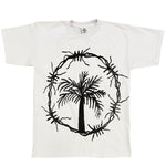 PALMERA INVERSO