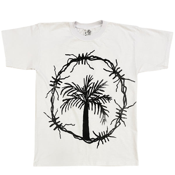 PALMERA INVERSO