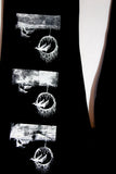 SCATTERED PRINT PANTS